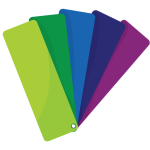 Color Palette