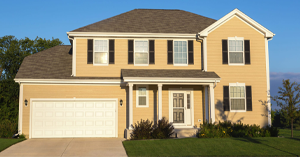 Exterior Painting Service - Vinyl