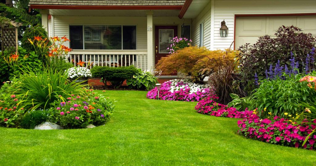 protecting your landscape