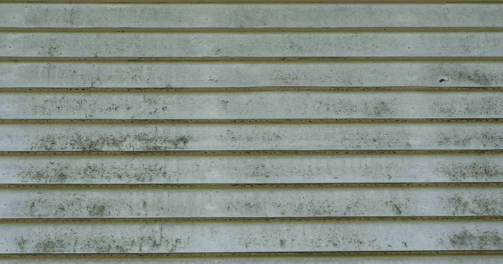 Exterior Paint Problems in Georgia