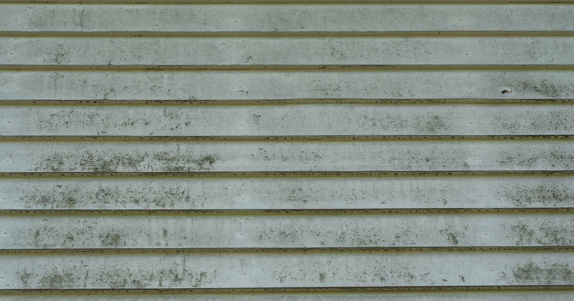 Exterior Paint Problems in Georgia